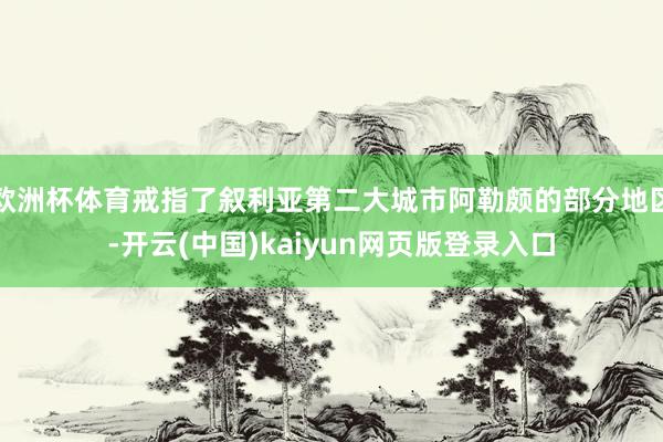 欧洲杯体育戒指了叙利亚第二大城市阿勒颇的部分地区-开云(中国)kaiyun网页版登录入口